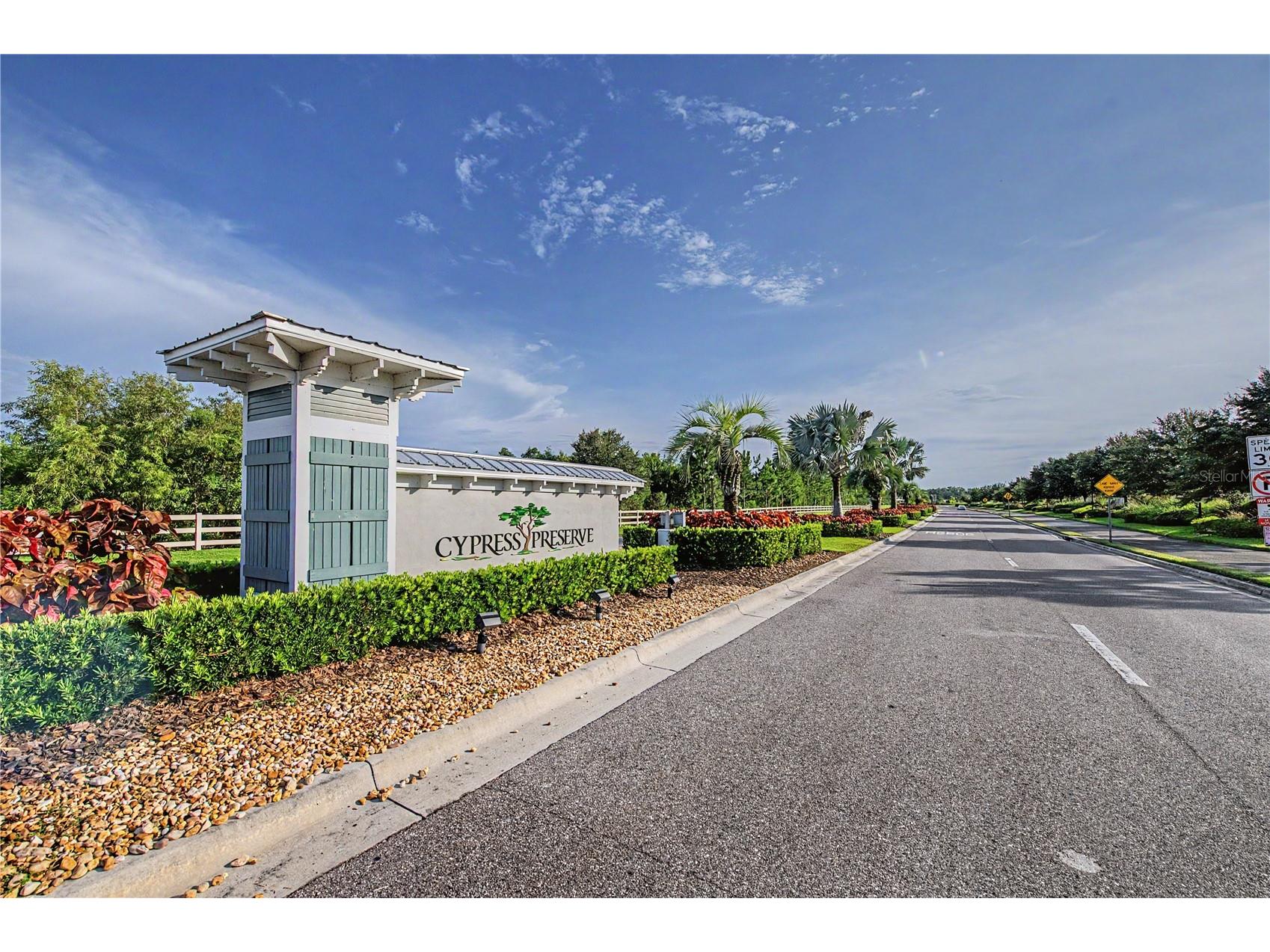 10331 Heron Hideaway Loop Land O Lakes FL 34638 TB8525892 image2