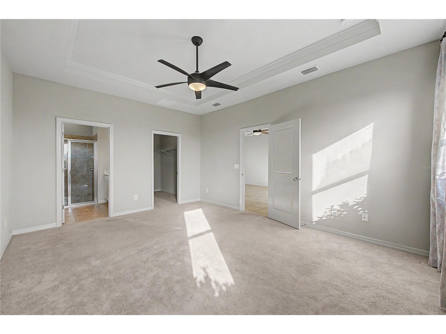10331 Heron Hideaway Loop Land O Lakes FL 34638 TB8525892 image21