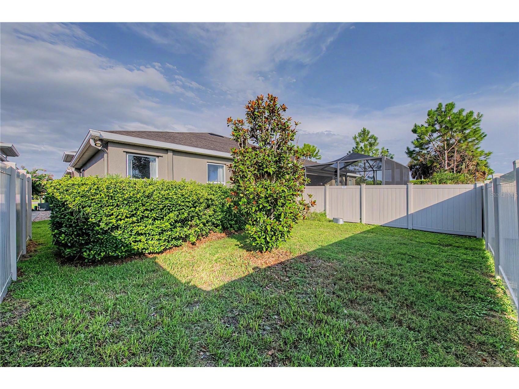 10331 Heron Hideaway Loop Land O Lakes FL 34638 TB8525892 image31