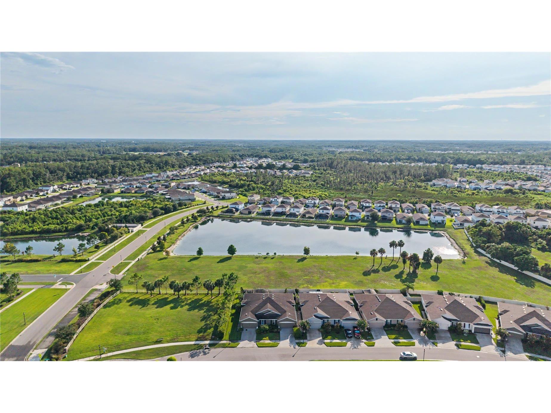 10331 Heron Hideaway Loop Land O Lakes FL 34638 TB8525892 image39