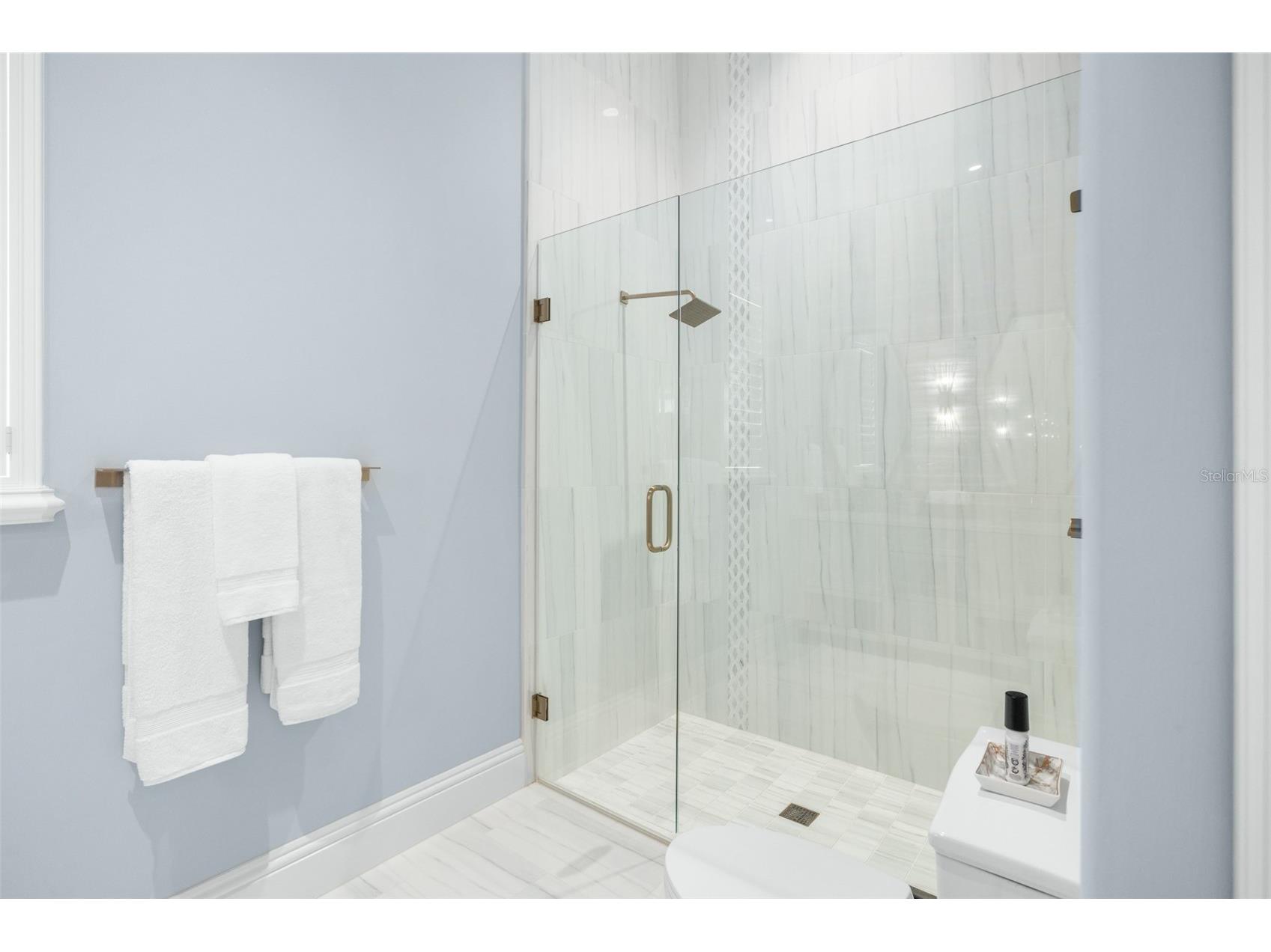 10331 Los Feliz Drive Orlando FL 32836 O6420278 image49