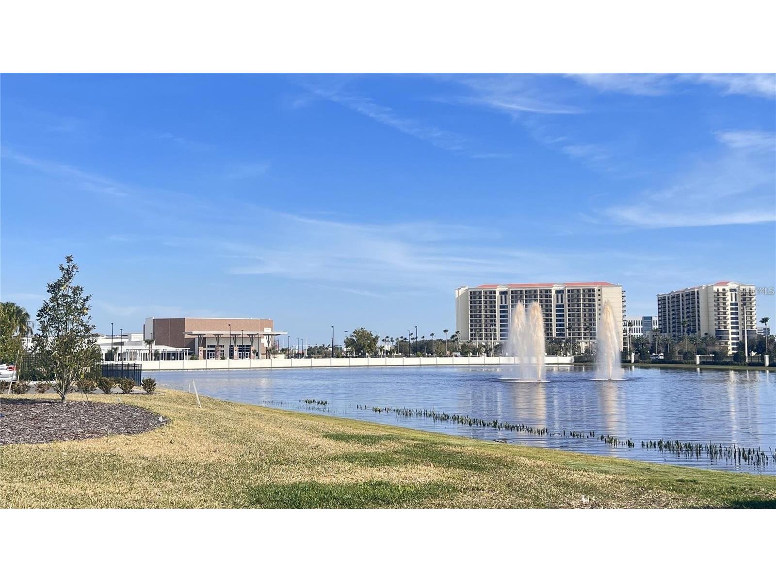 10331 Parkview Reserve Lane Orlando FL 32836 O6370745 image4