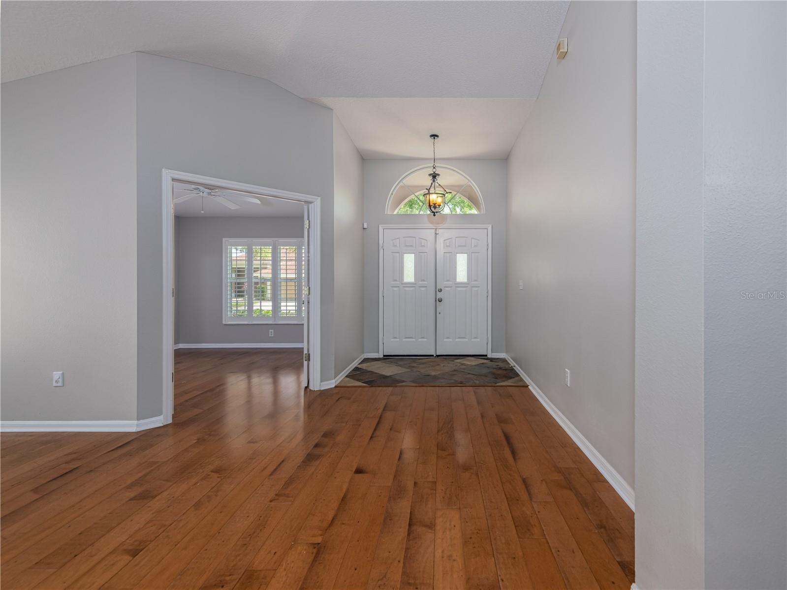 10333 Abbotsford Drive Tampa FL 33626 TB8514477 image4