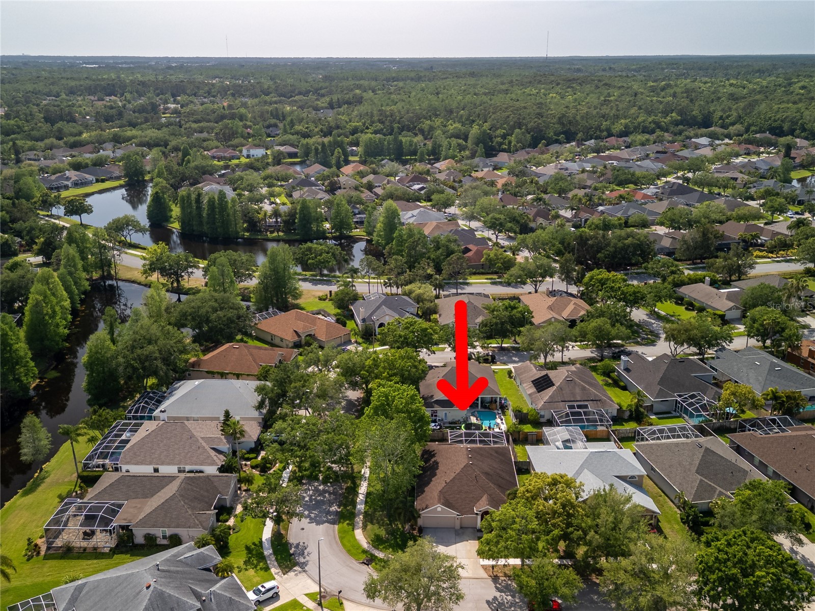 10333 Abbotsford Drive Tampa FL 33626 TB8514477 image42