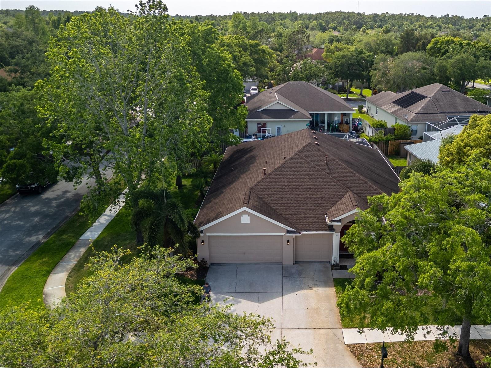 10333 Abbotsford Drive Tampa FL 33626 TB8514477 image43