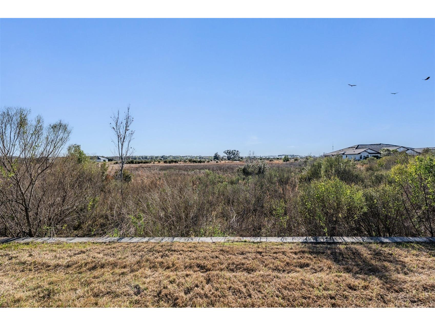 10334 Echo Dock Loop San Antonio FL 33576 TB8480316 image10