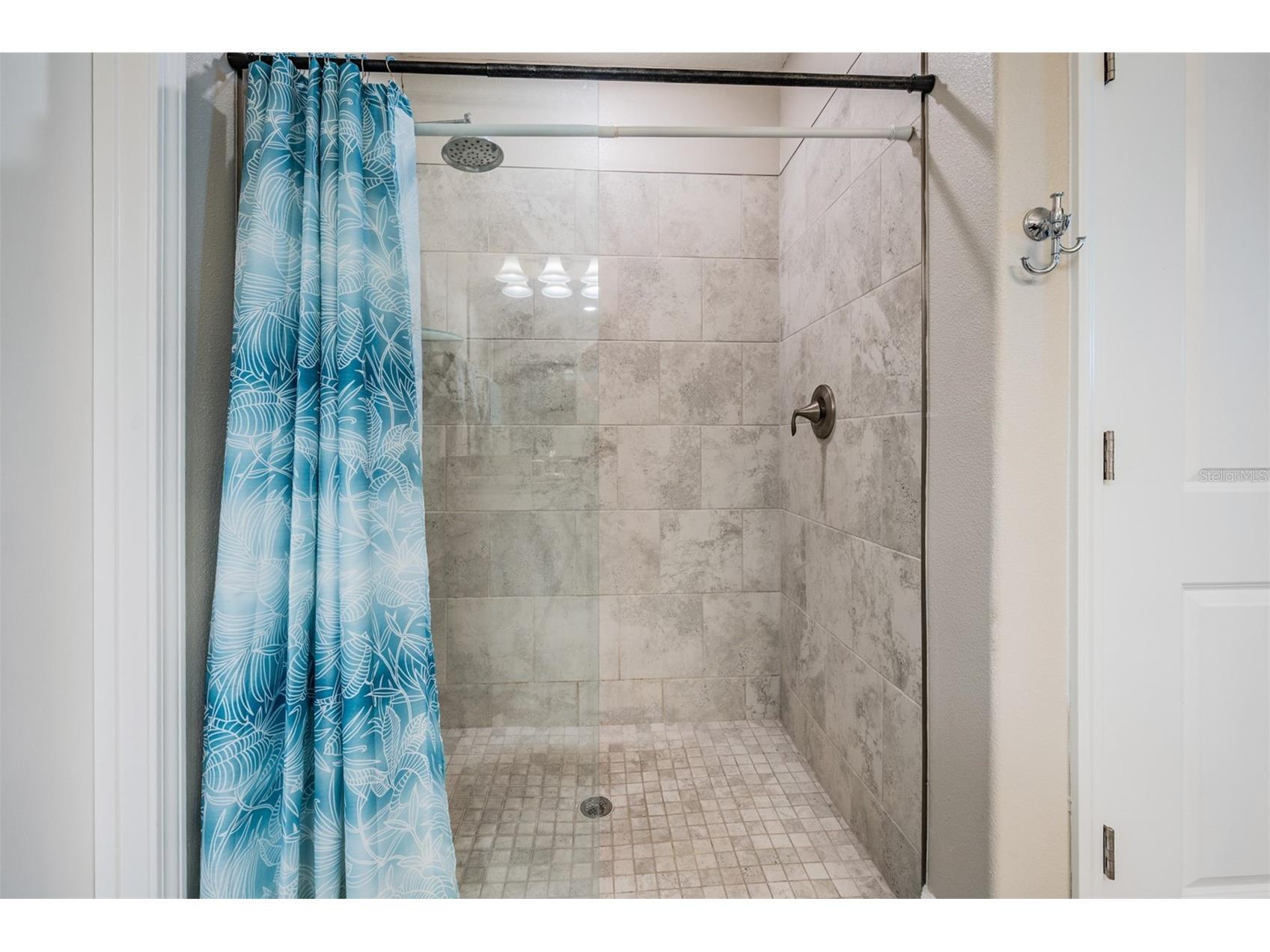 10334 Echo Dock Loop San Antonio FL 33576 TB8480316 image26