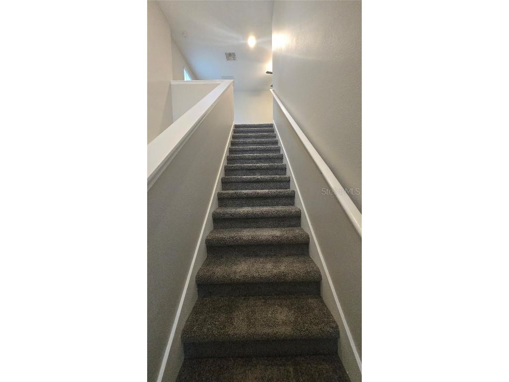 10335 Blue Plume Court Riverview FL 33578 TB8408804 image14