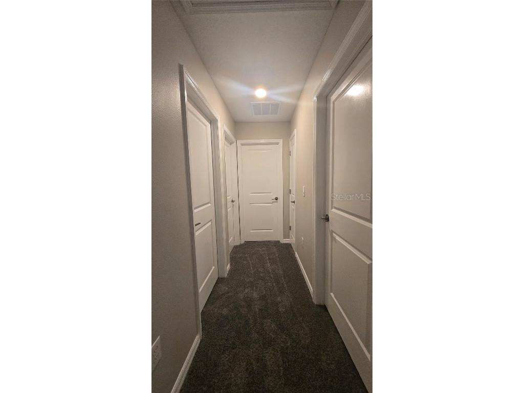 10335 Blue Plume Court Riverview FL 33578 TB8408804 image16