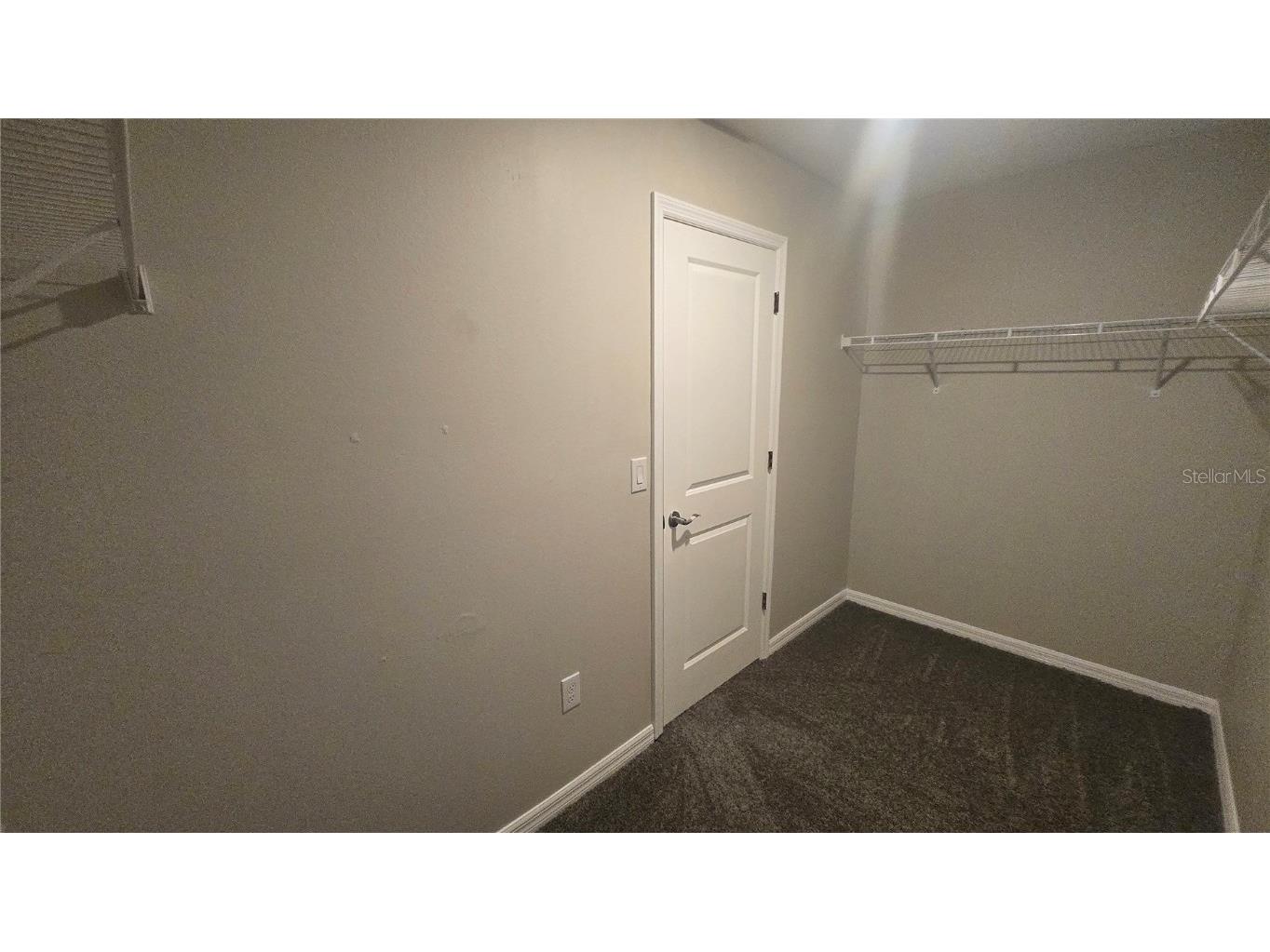 10335 Blue Plume Court Riverview FL 33578 TB8408804 image32