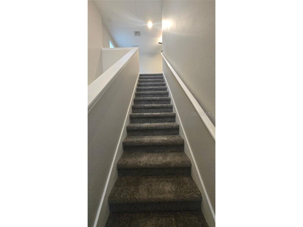 10335 Blue Plume Court Riverview FL 33578 TB8457400 image13