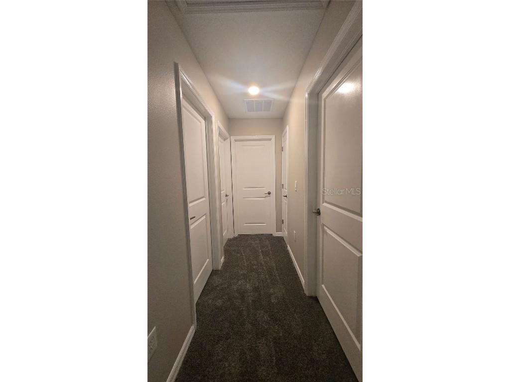 10335 Blue Plume Court Riverview FL 33578 TB8457400 image15