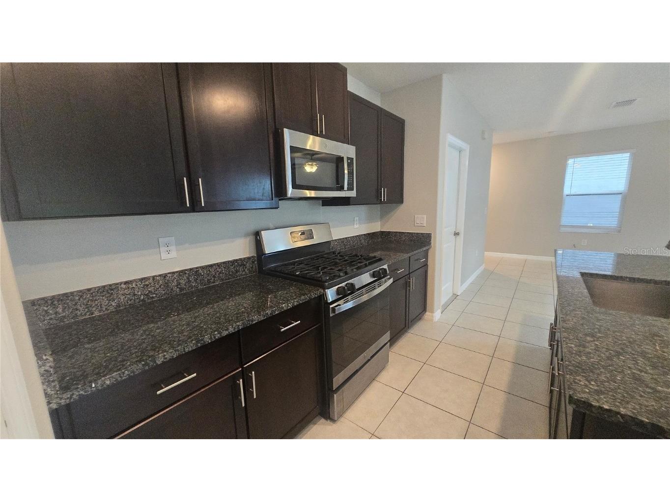 10335 Blue Plume Court Riverview FL 33578 TB8457400 image8