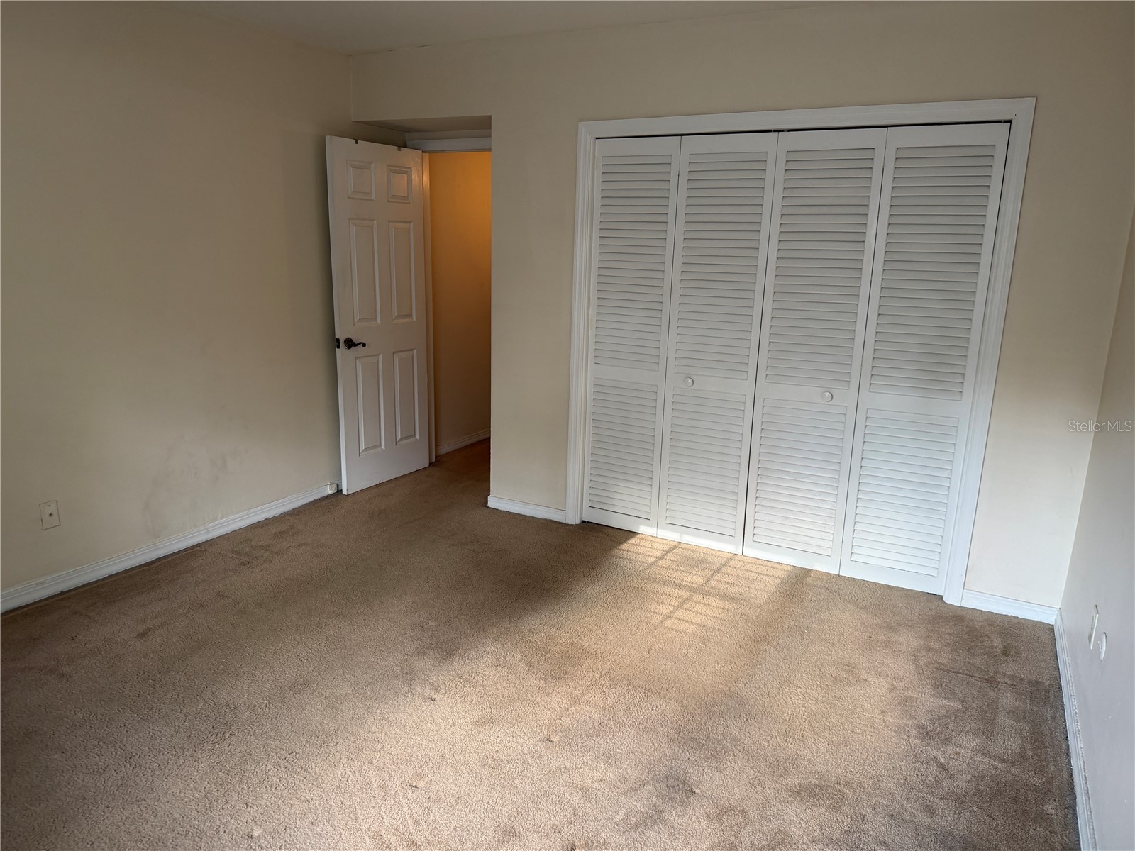 10335 Carrollwood Lane #116 Tampa FL 33618 TB8502635 image12
