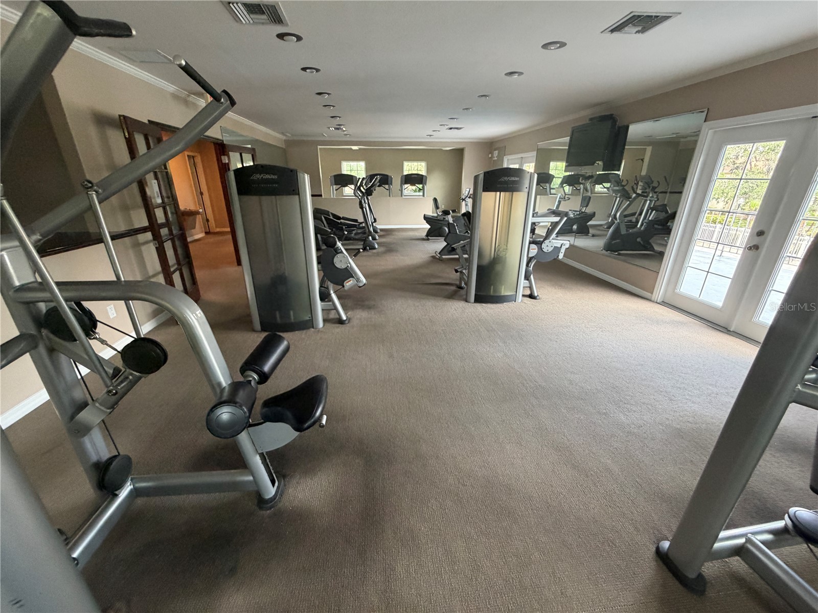 10335 Carrollwood Lane #116 Tampa FL 33618 TB8502635 image26