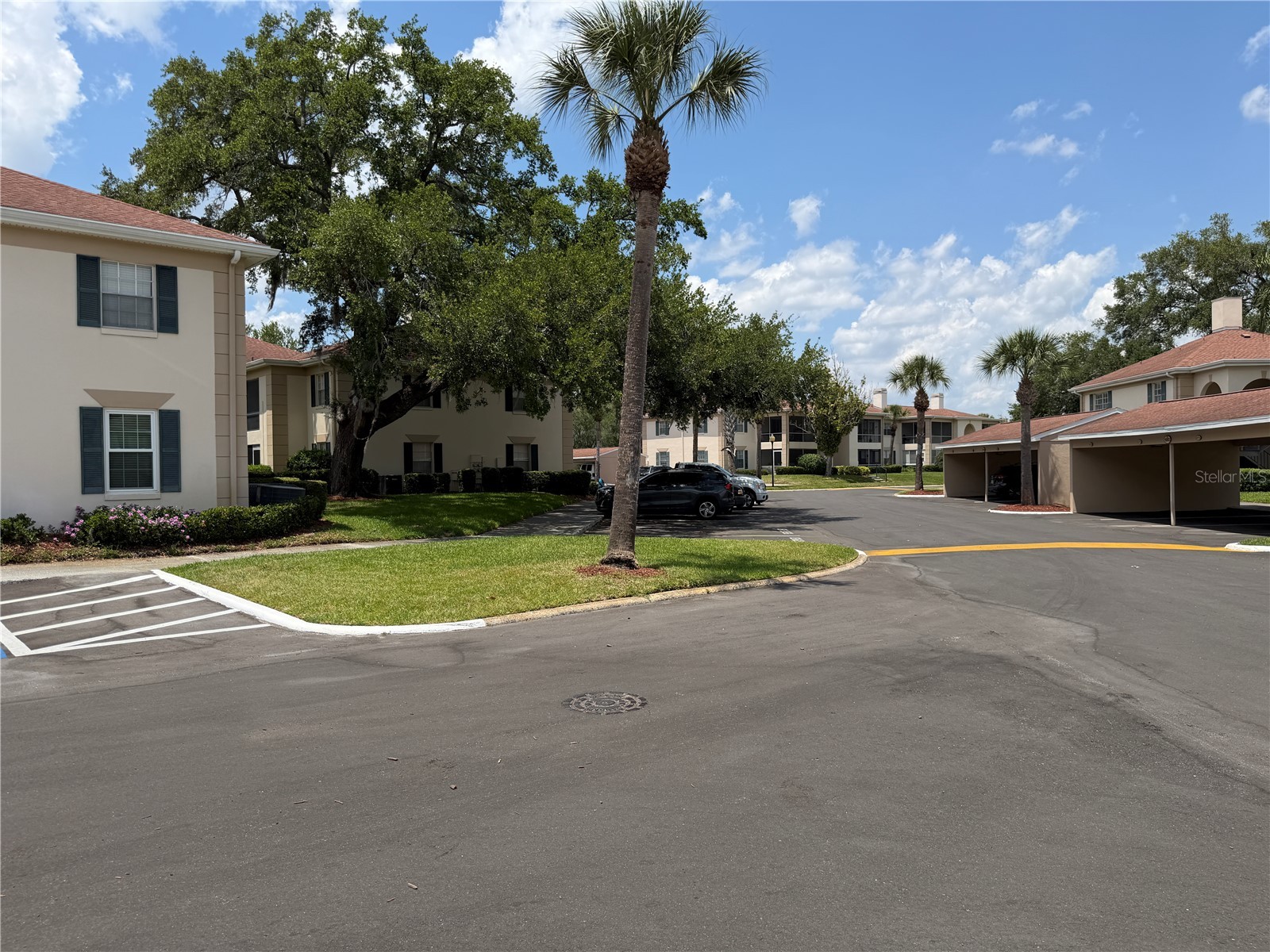 10335 Carrollwood Lane #116 Tampa FL 33618 TB8502635 image27