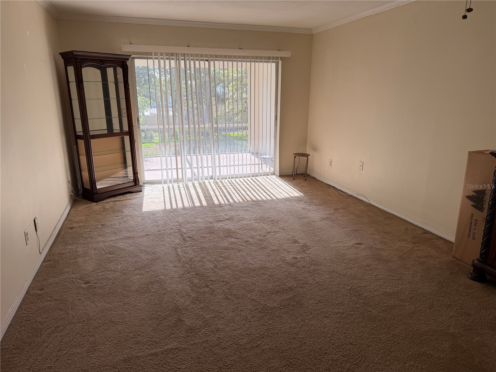 10335 Carrollwood Lane #116 Tampa FL 33618 TB8502635 image4