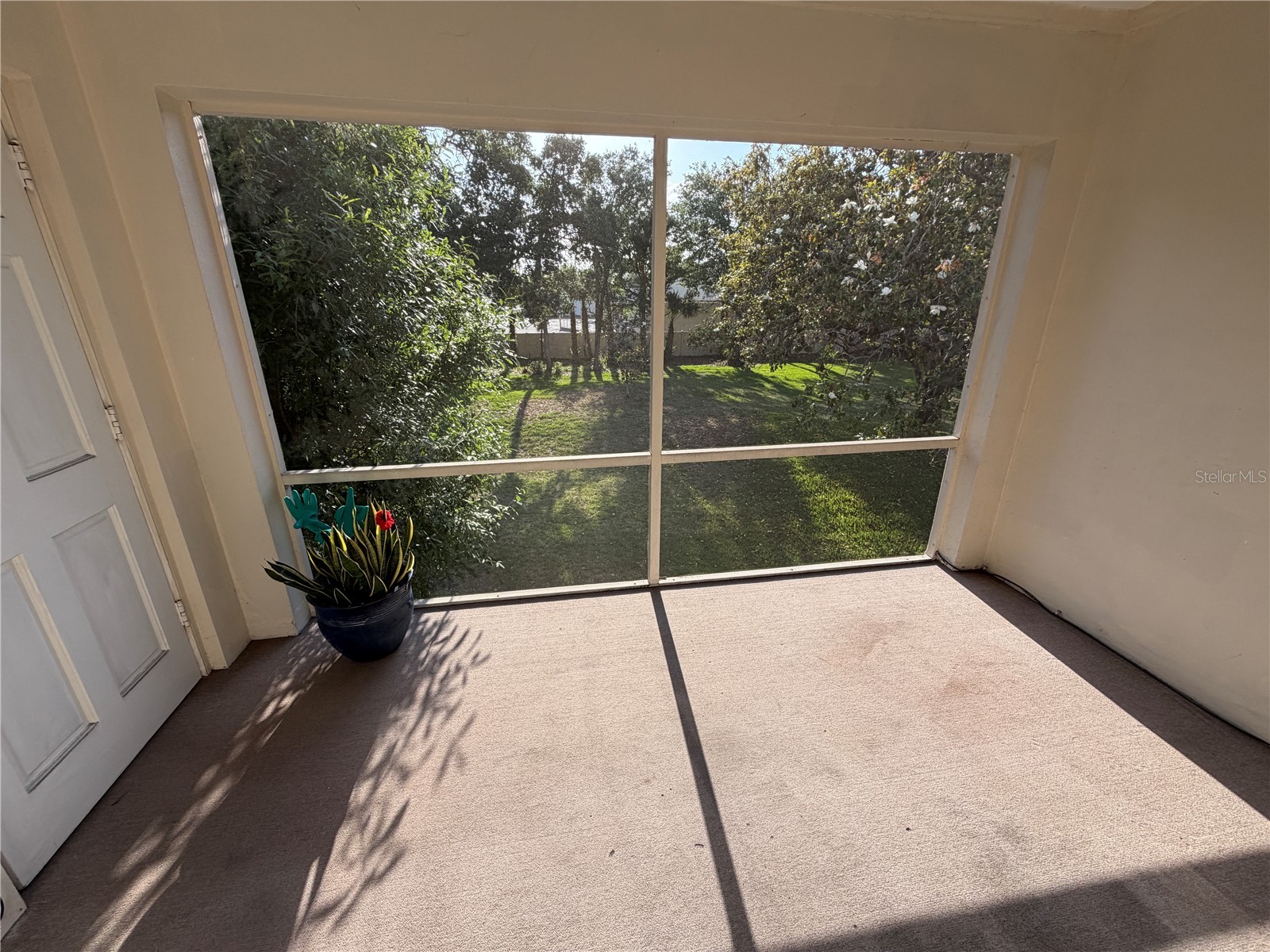 10335 Carrollwood Lane #116 Tampa FL 33618 TB8502635 image5