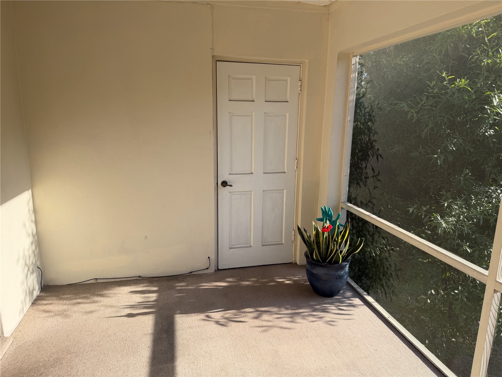 10335 Carrollwood Lane #116 Tampa FL 33618 TB8502635 image6