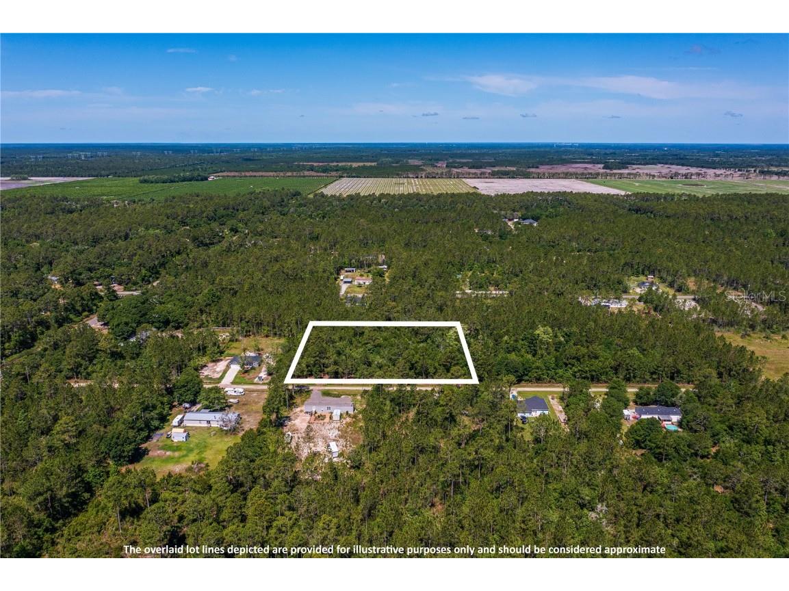10335 Delgado Avenue Hastings FL 32145 T3536219 image1