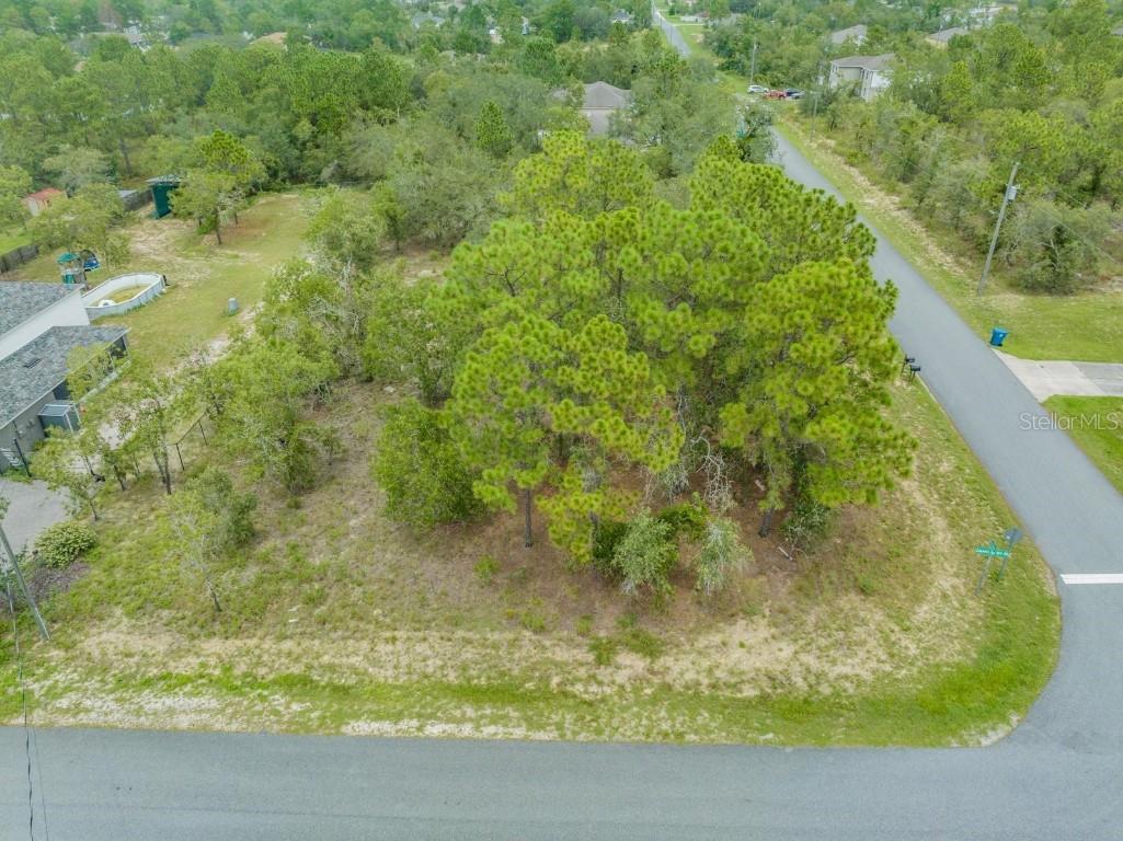 10335 Flycatcher Road Brooksville FL 34613 T3462355 image1