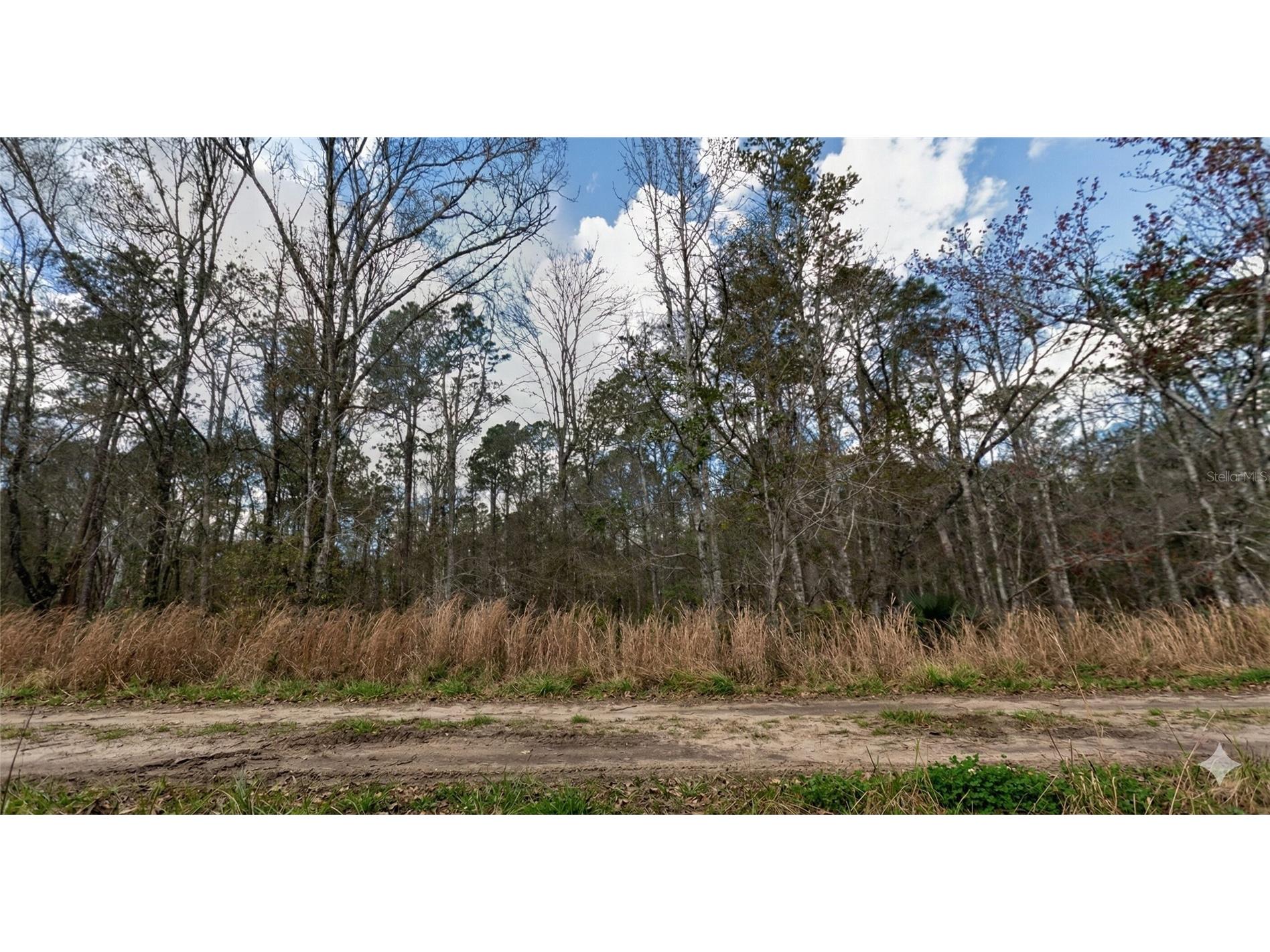 10335 Hennessey Avenue Hastings FL 32145 OM719918 image3
