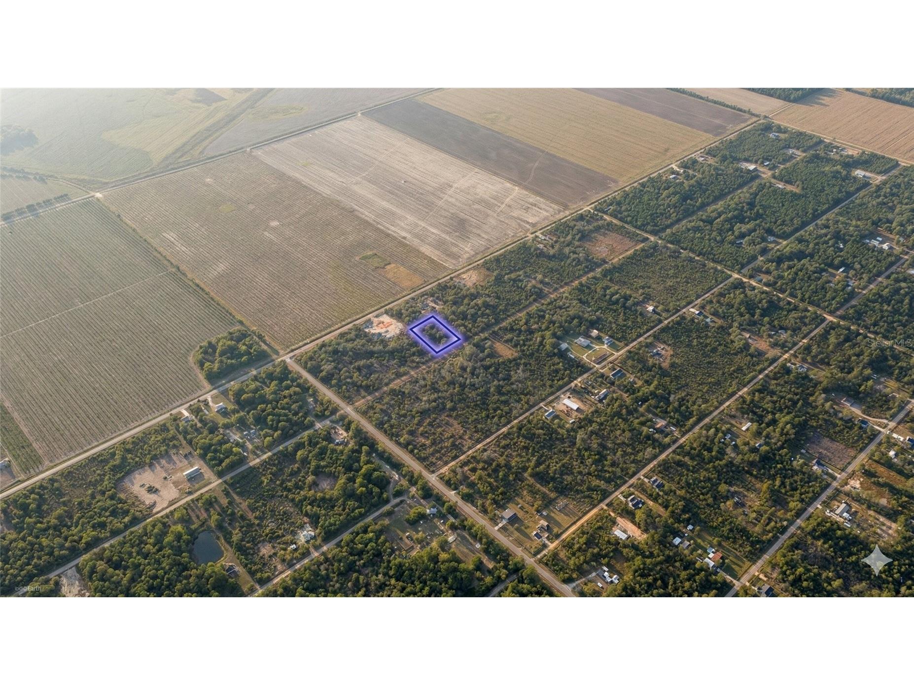 10335 Hennessey Avenue Hastings FL 32145 OM719918 image5