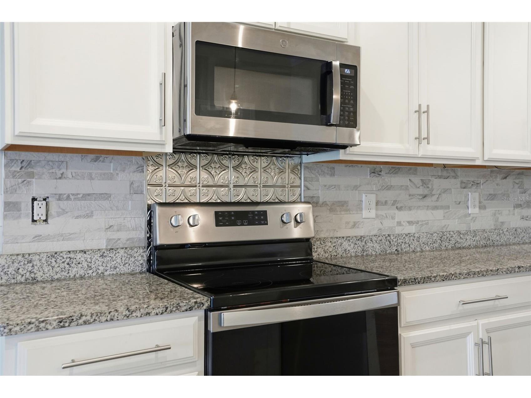 10335 Heron Hideaway Loop Land O Lakes FL 34638 TB8493140 image23