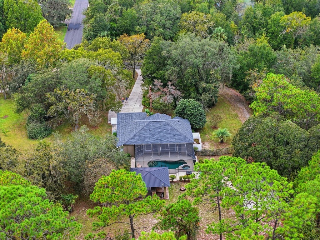 10335 N Dauphine Terrace Dunnellon FL 34433 TB8441230 image4