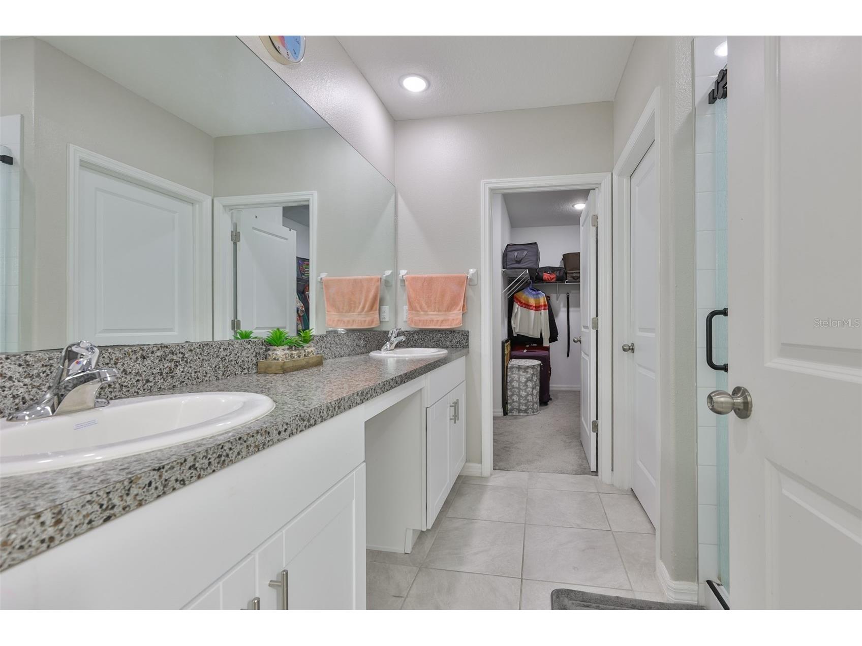 10335 Shady Preserve Drive Riverview FL 33578 TB8464678 image17