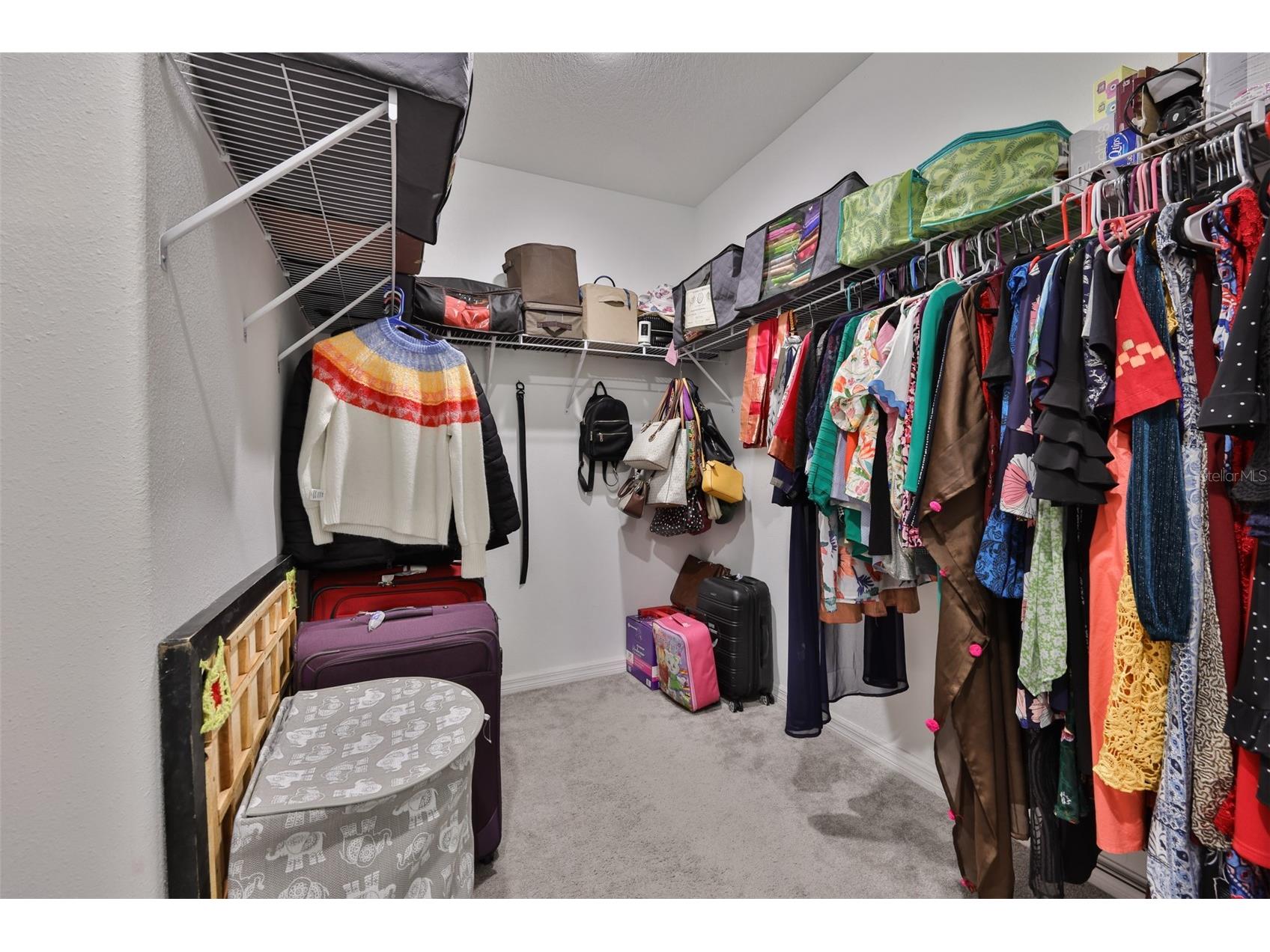 10335 Shady Preserve Drive Riverview FL 33578 TB8464678 image19