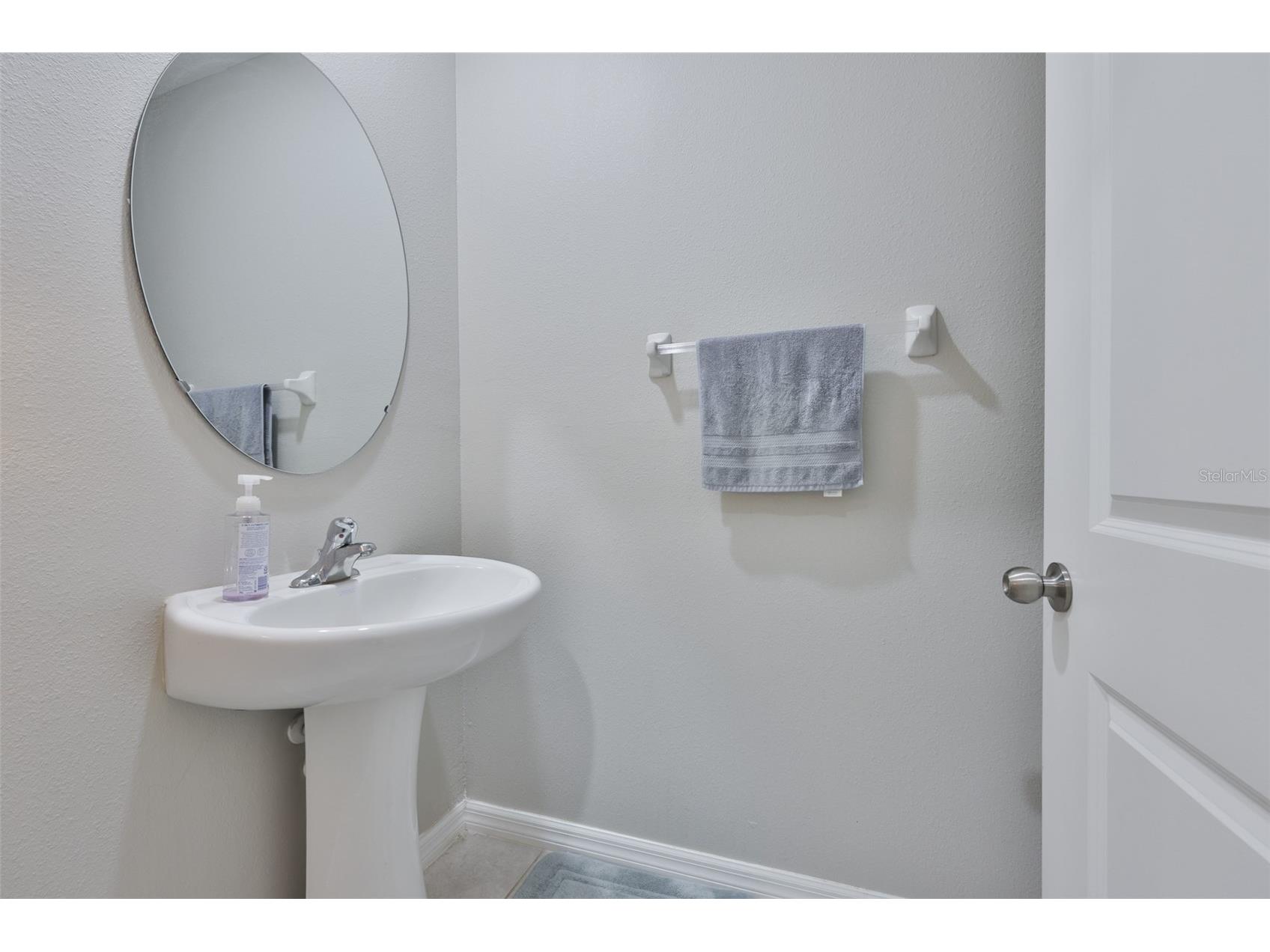 10335 Shady Preserve Drive Riverview FL 33578 TB8464678 image21