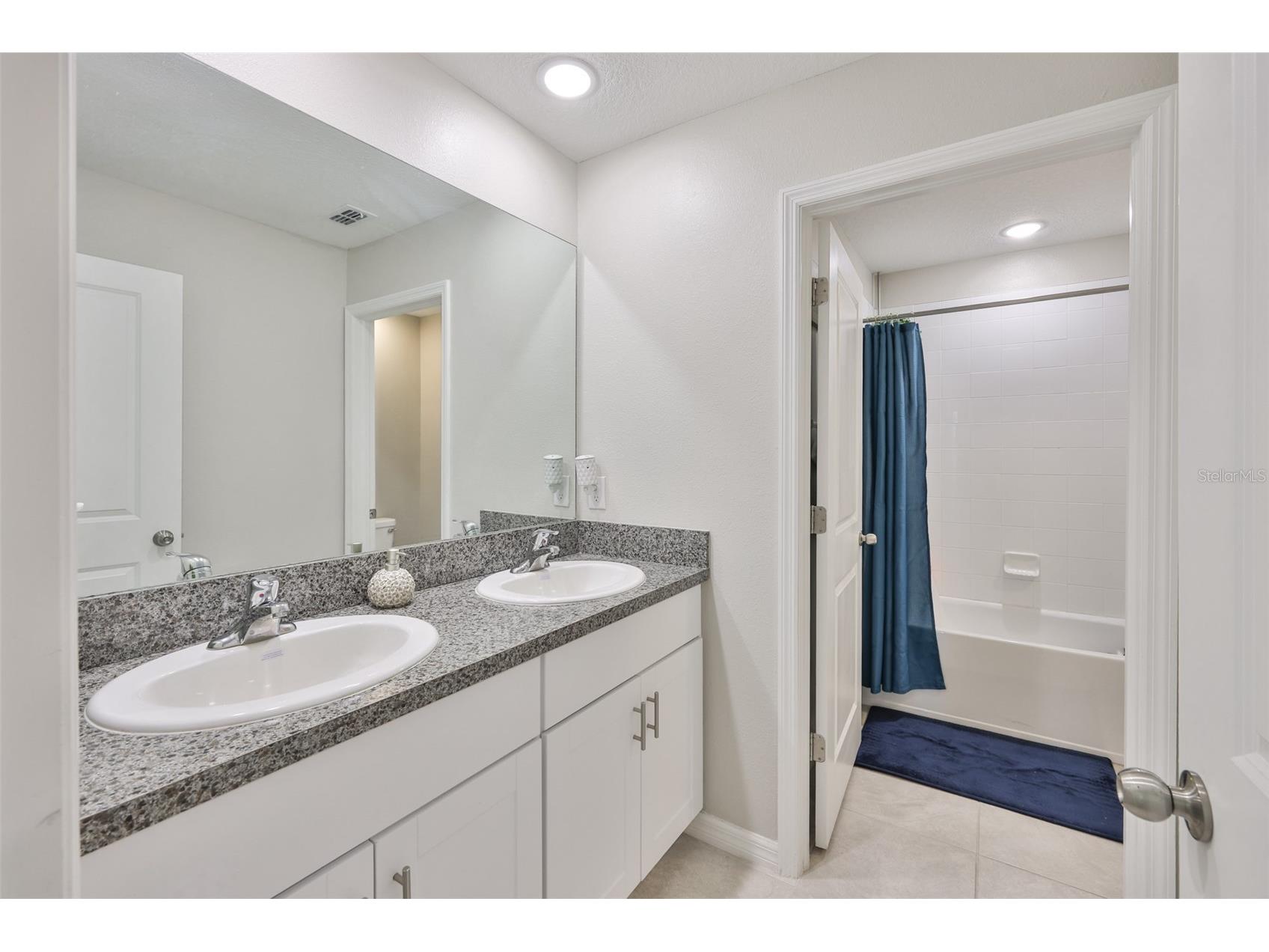 10335 Shady Preserve Drive Riverview FL 33578 TB8464678 image27