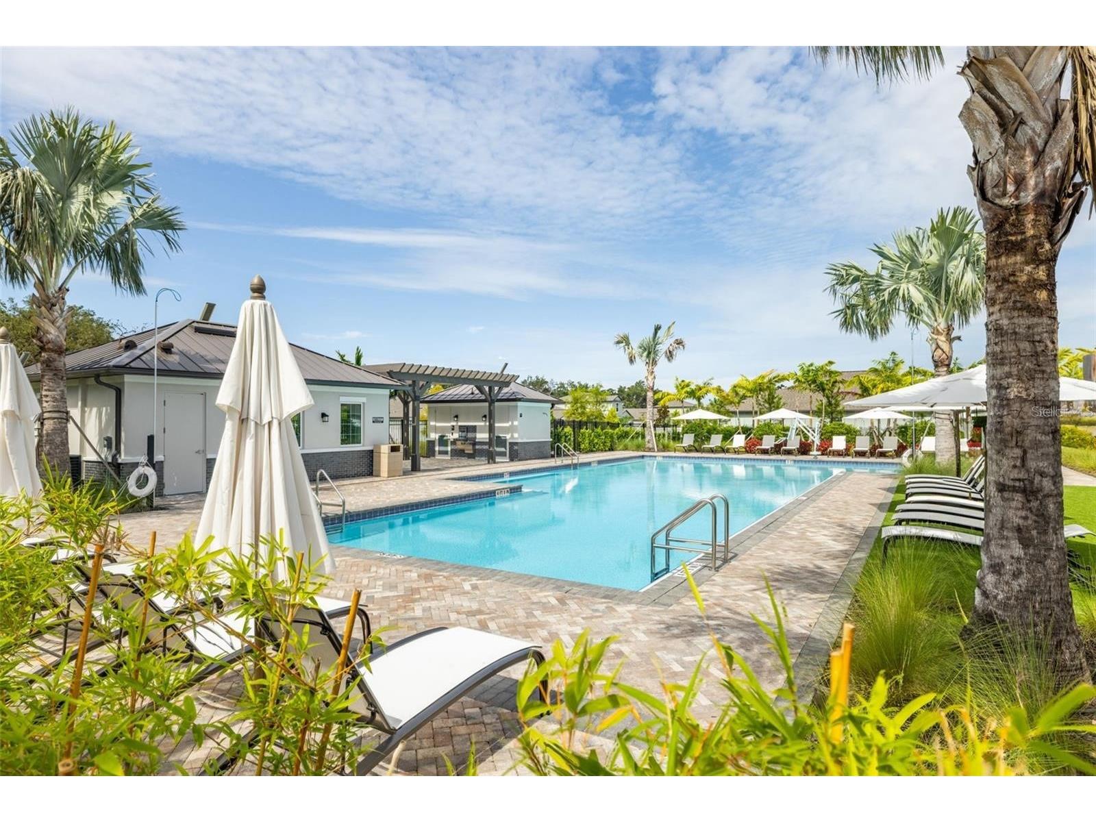 10335 Shady Preserve Drive Riverview FL 33578 TB8464678 image44