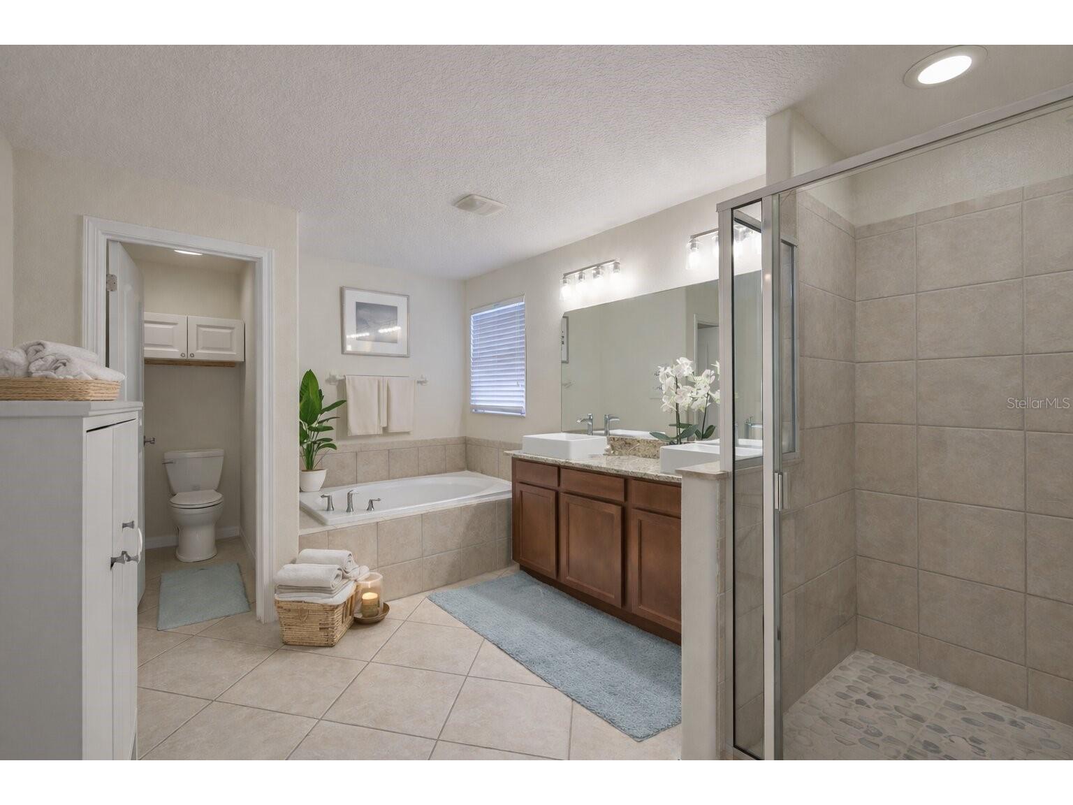 10335 Summer Azure Drive Riverview FL 33578 TB8486460 image18