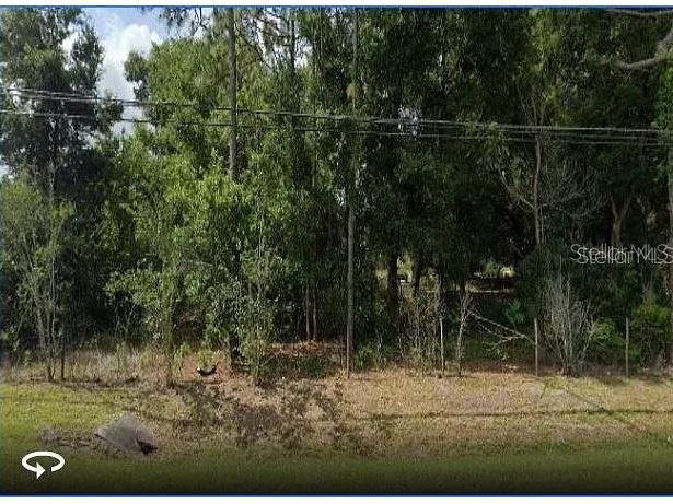 10336 Buck Road Orlando FL 32817 O6005655 image1