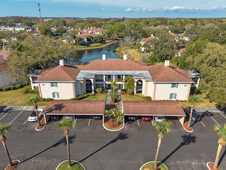 10336 Carrollwood Lane #106 Tampa FL 33618 TB8480334 image1