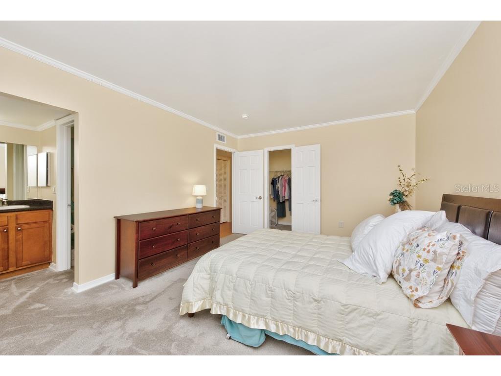 10336 Carrollwood Lane #106 Tampa FL 33618 TB8480334 image18