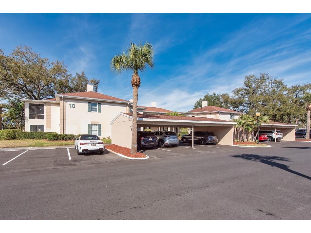 10336 Carrollwood Lane #106 Tampa FL 33618 TB8480334 image30