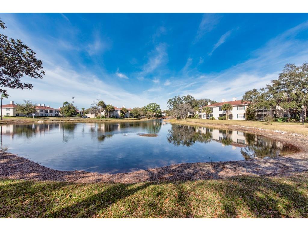 10336 Carrollwood Lane #106 Tampa FL 33618 TB8480334 image31