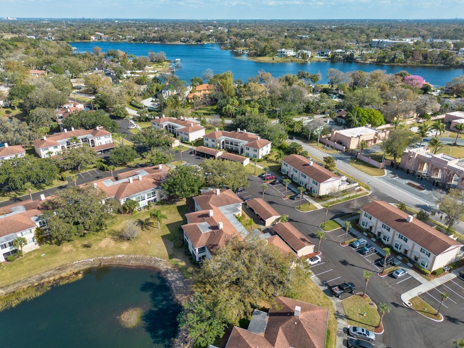 10336 Carrollwood Lane #106 Tampa FL 33618 TB8480334 image37