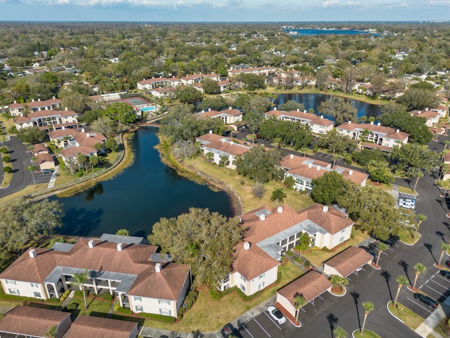 10336 Carrollwood Lane #106 Tampa FL 33618 TB8480334 image38