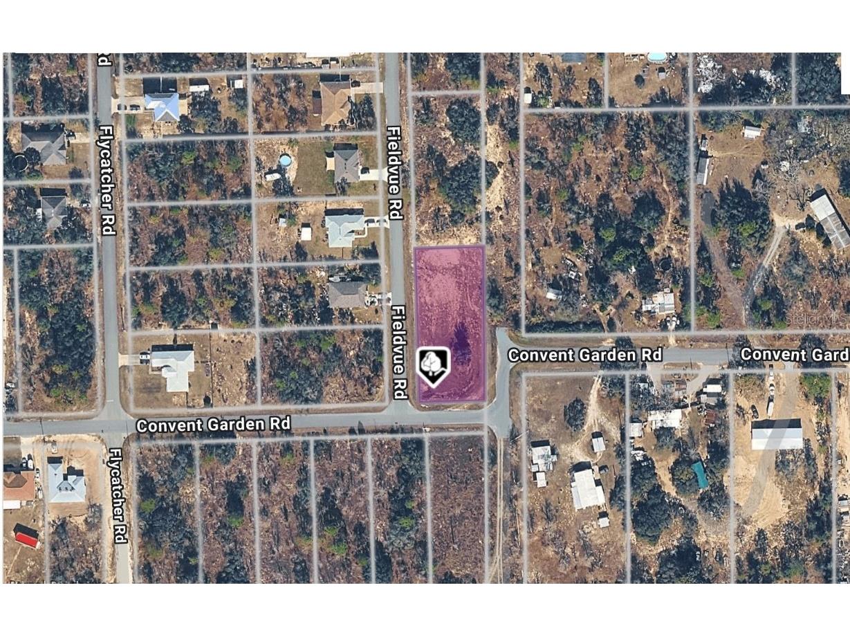 10336 Fieldvue Road Brooksville FL 34613 C7518707 image1