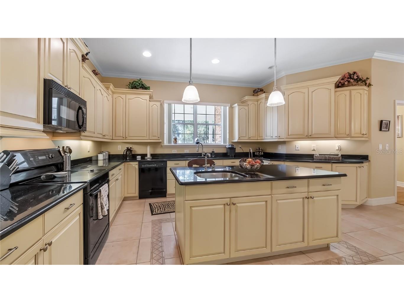 10336 Lake Louisa Road Clermont FL 34711 - LAKE LOUISA G5105515 image17