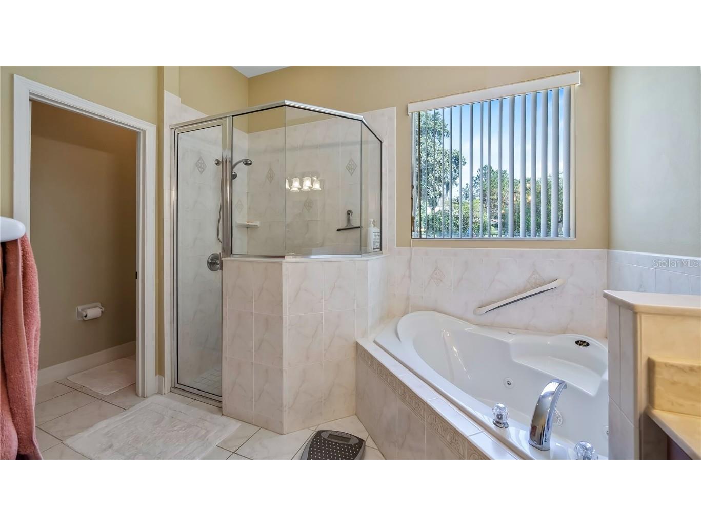 10336 Lake Louisa Road Clermont FL 34711 - LAKE LOUISA G5105515 image27