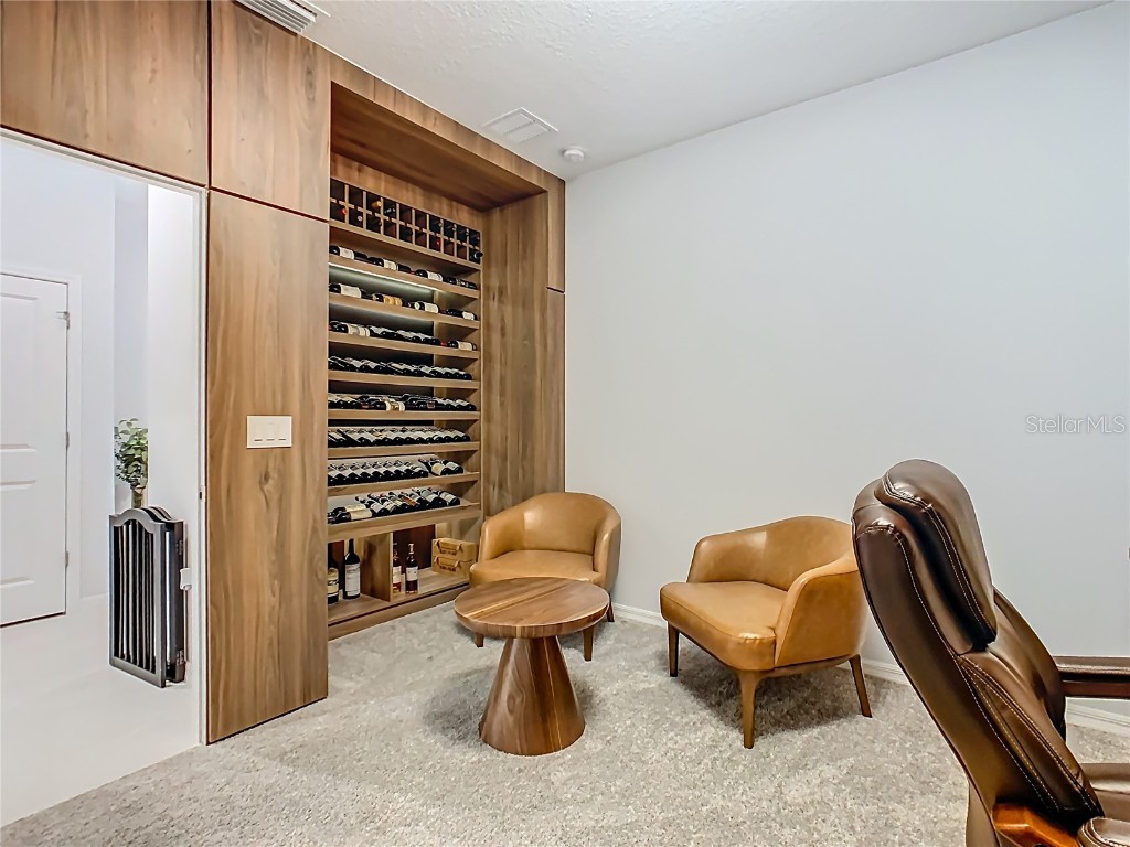 10336 Parkview Reserve Lane Orlando FL 32836 O6328563 image28