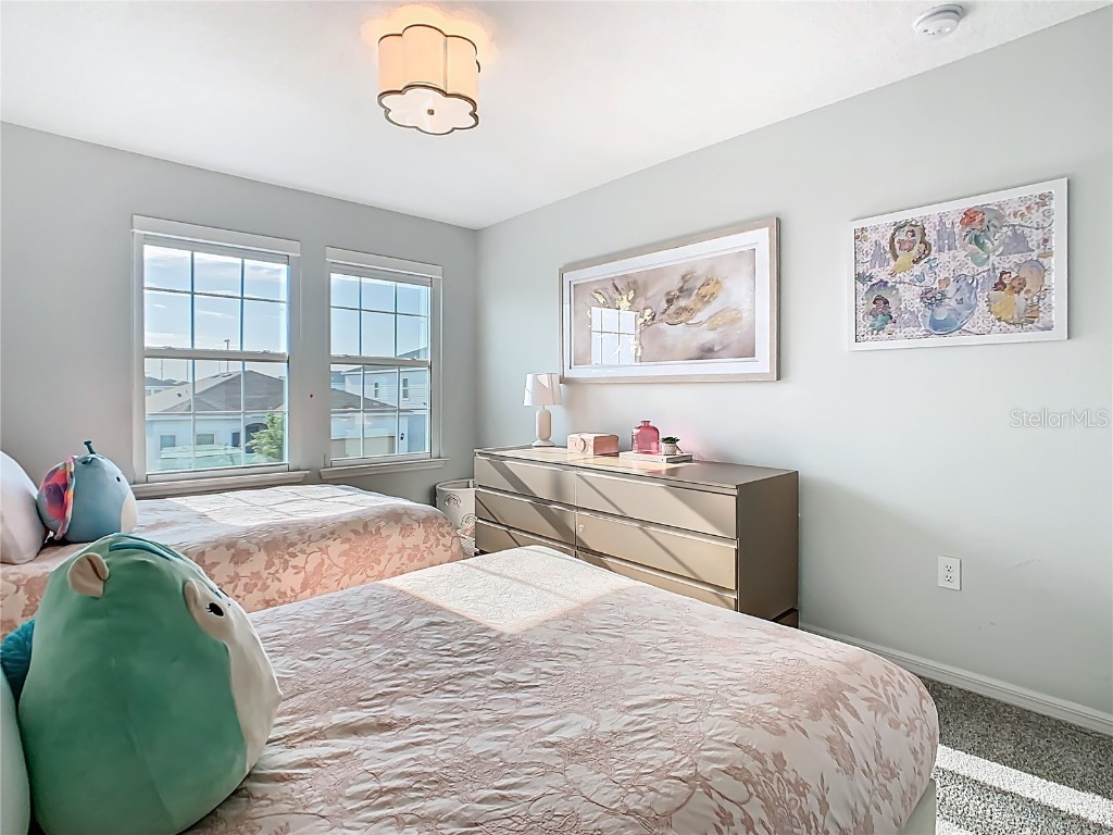 10336 Parkview Reserve Lane Orlando FL 32836 O6328563 image39