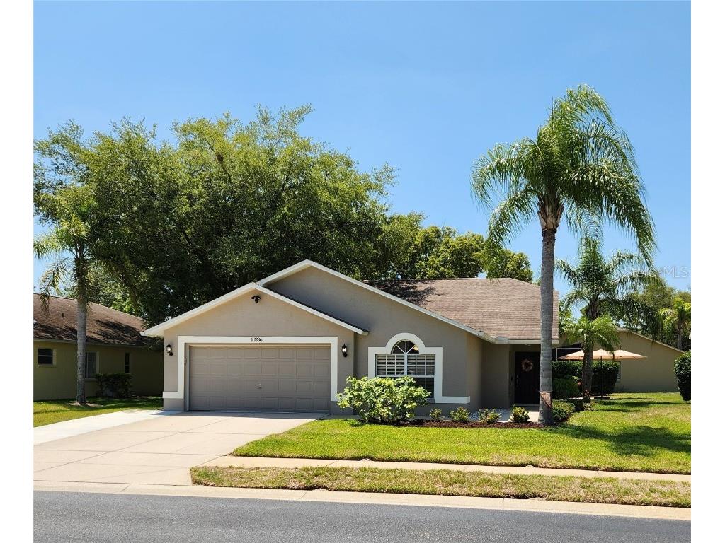 10336 Pineneedles Drive New Port Richey FL 34654 U8244972 image1