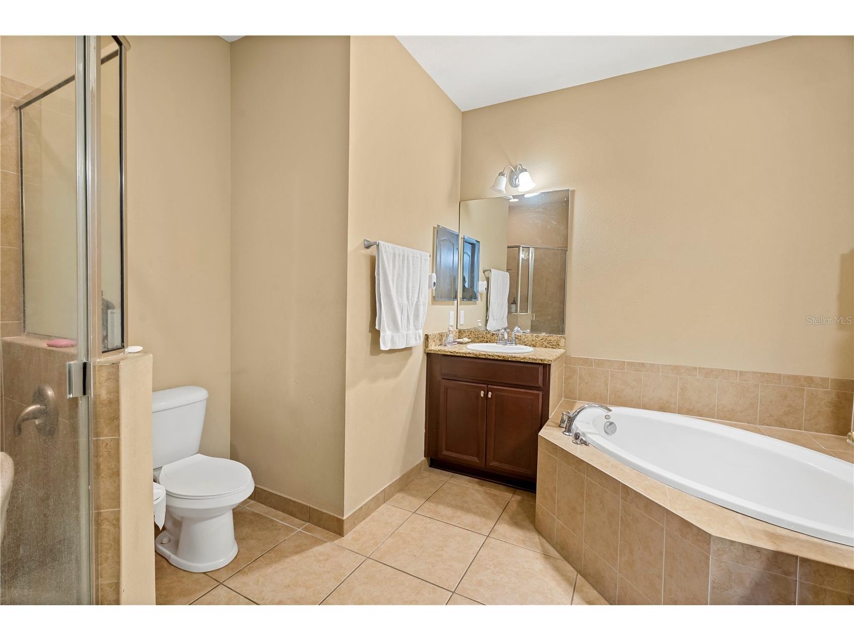 10337 Belfry Circle Orlando FL 32832 O6412222 image21