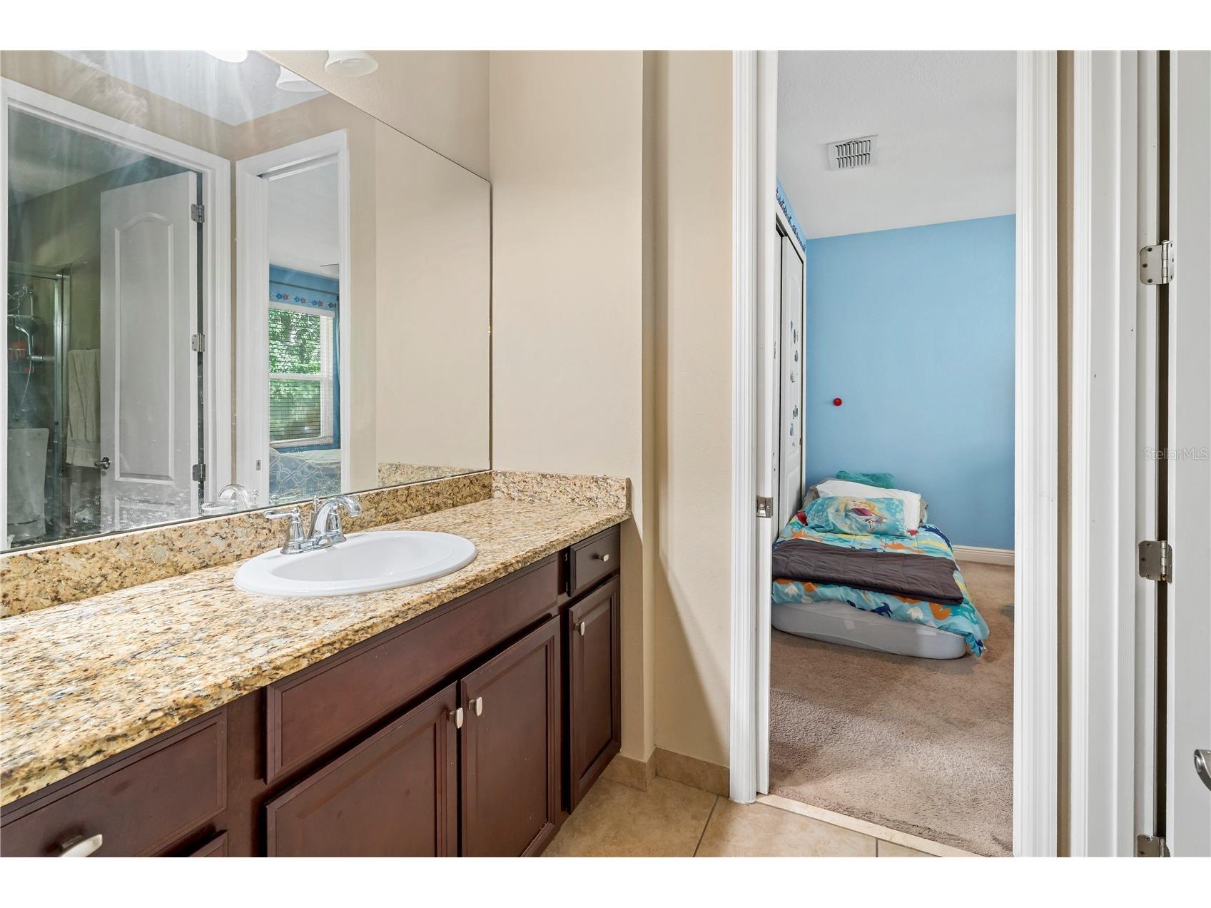 10337 Belfry Circle Orlando FL 32832 O6412222 image28